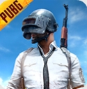 PUBG国际服体验服