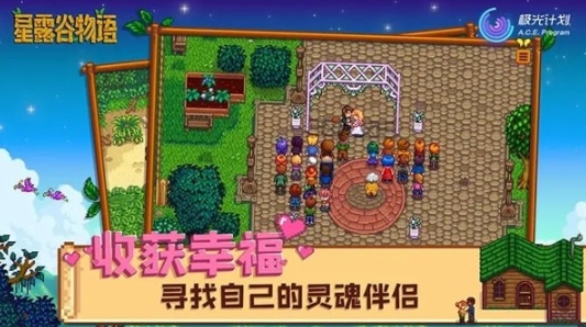 Stardew Valley截图2