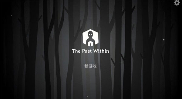 The past within