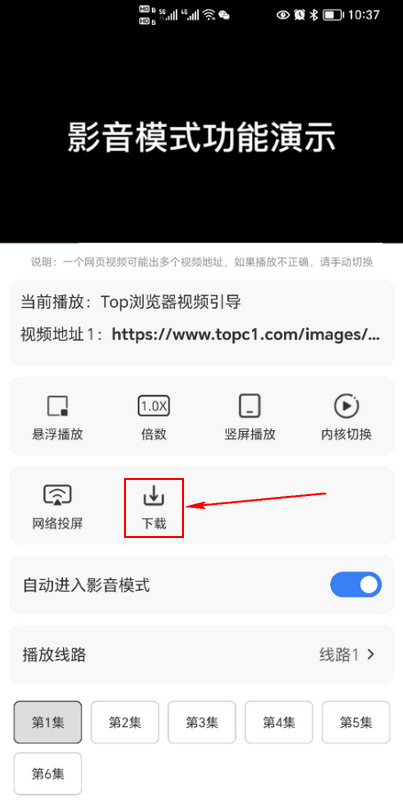 top浏览器