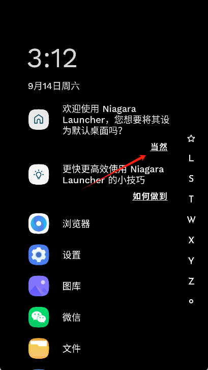 niagara launcher