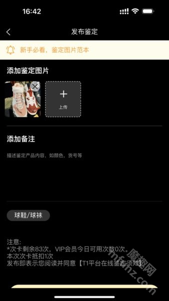 t1鉴定(鉴定师app)