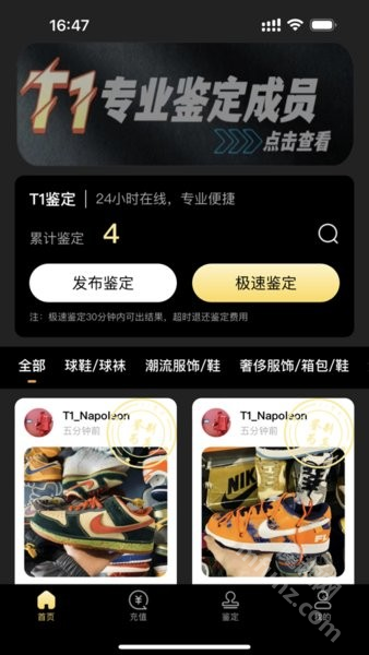 t1鉴定(鉴定师app)