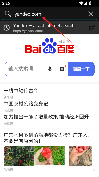 俄罗斯引擎浏览器app