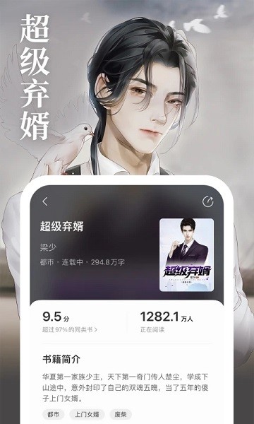 琅阅小说app截图4