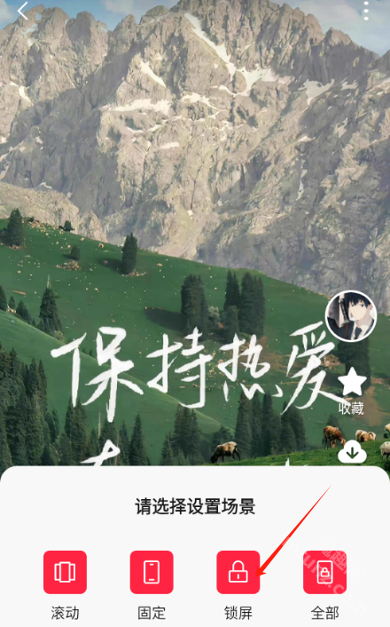 汽水壁纸app下载最新版本