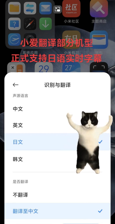 小爱翻译app下载