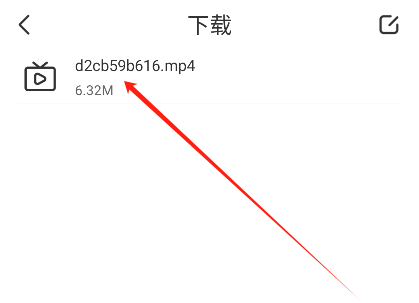 熊猫浏览器手机版