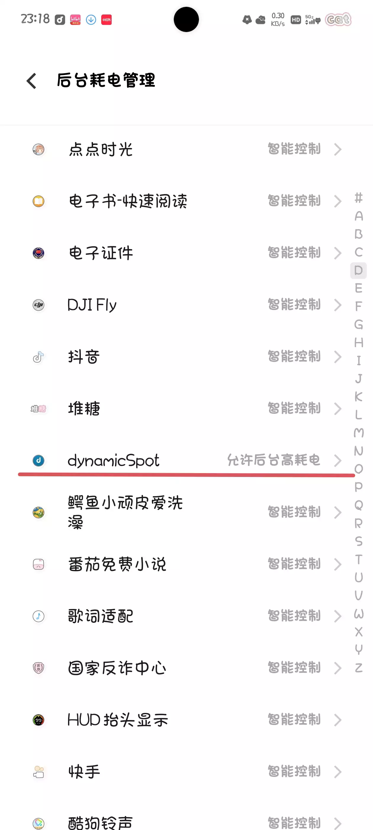 dynamicspot