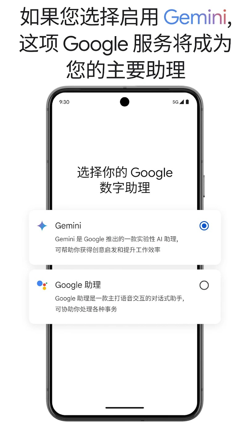 Google Gemini app截图2