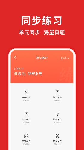 题拍拍app截图5