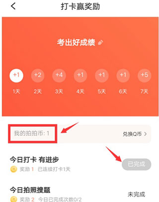 题拍拍app