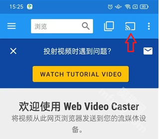 web video caster投屏