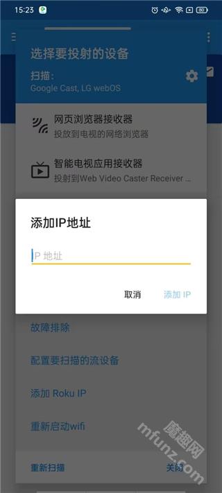 web video caster投屏