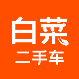 白菜二手车app