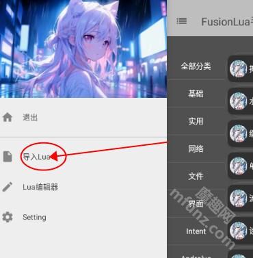 FusionLua手册新版