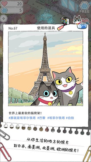 猫友圈猫咪的旅行截图3