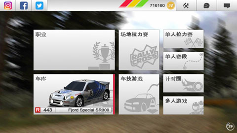 RushRally3截图1