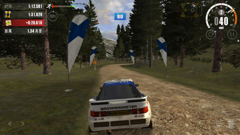 RushRally3截图3