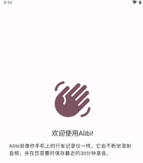 Alibi软件