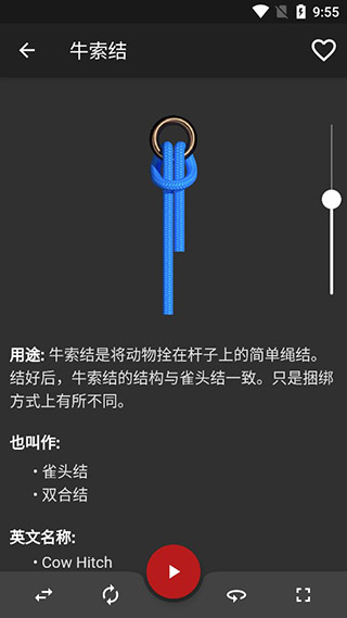 Knots 3D中文版截图3