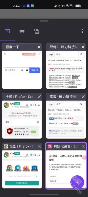 Fleet浏览器app