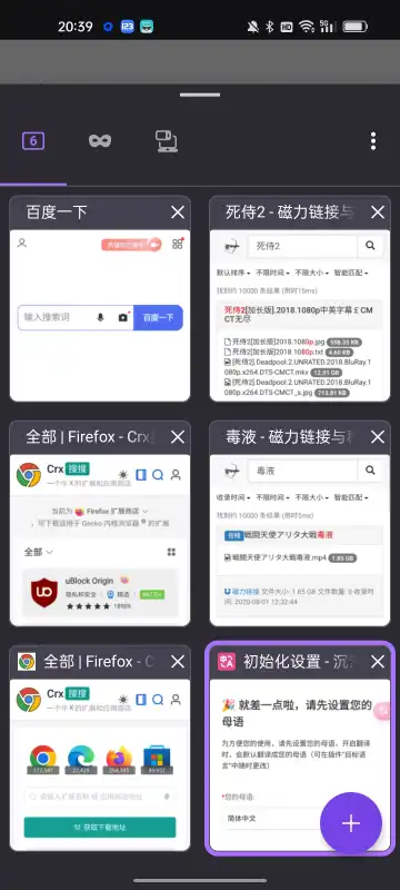 Fleet浏览器app