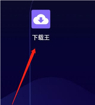 下载王app