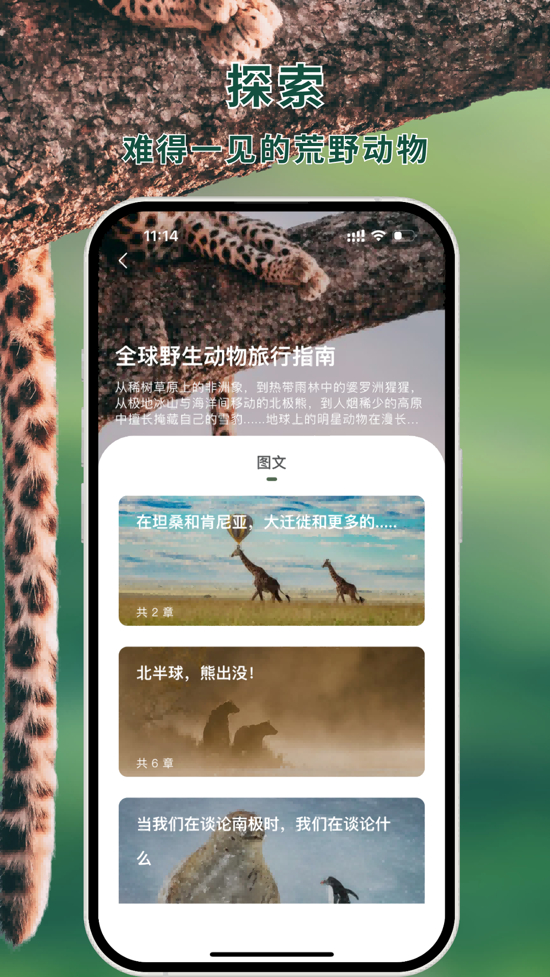 熊猫客app截图4