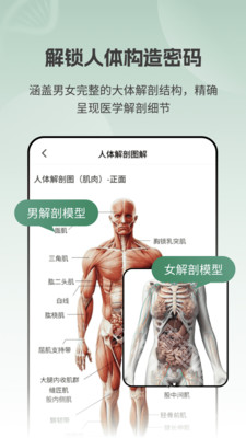 解剖模型Body软件