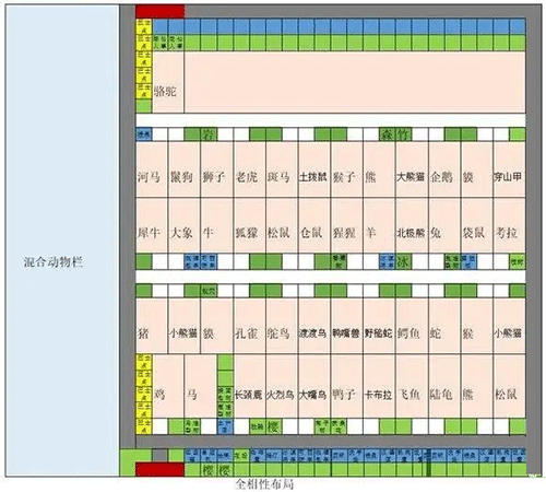 探险顽皮动物园