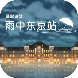 雨中东京站