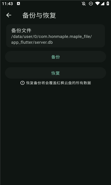 红枫云盘app截图2