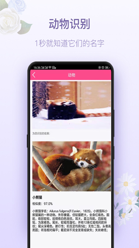 拍照识花神器截图3
