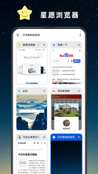 星愿浏览器手机版截图3