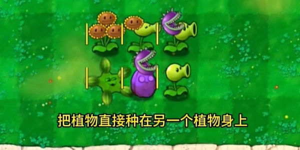 植物大战僵尸嫁接版