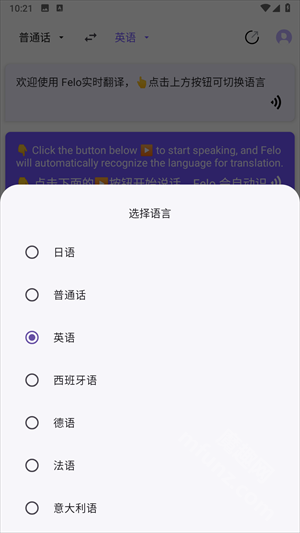 felo实时翻译