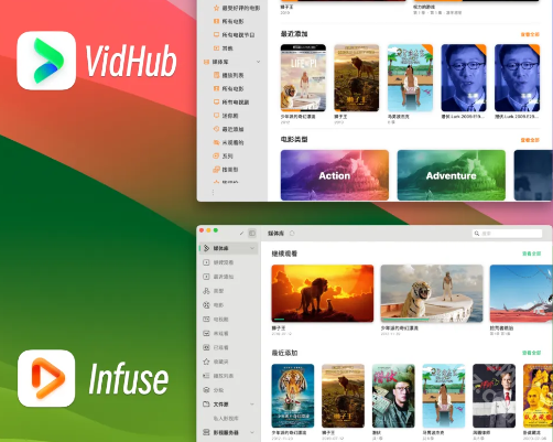 vidhub