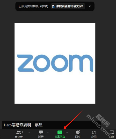 zoom新版