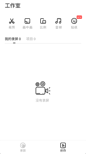 录丸app