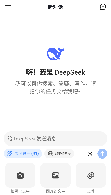 deepseek应用