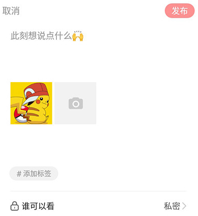 宝宝树小时光