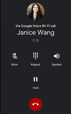 google voice