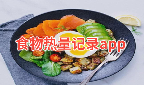 食物热量记录app