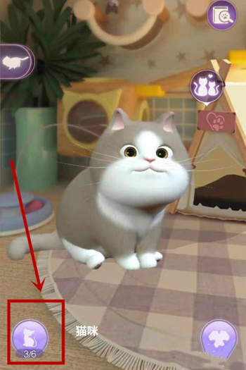 时光公主
