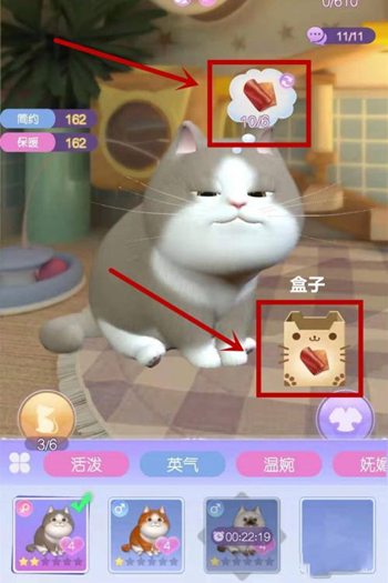 时光公主