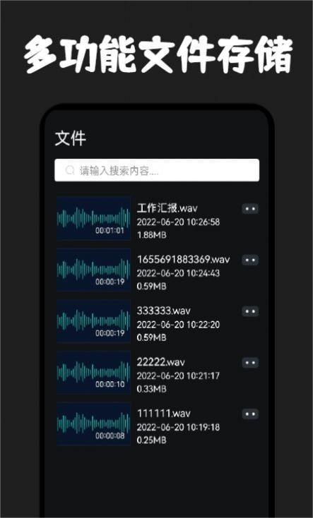 录音器专家