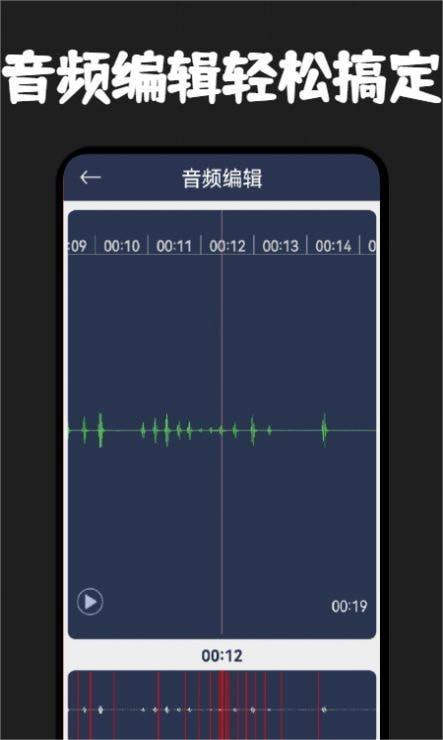 录音器专家