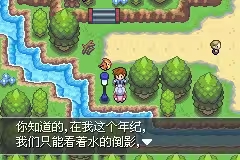 口袋妖怪紫光截图2