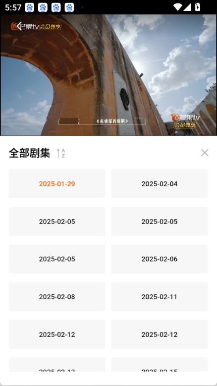 小狐狸追剧